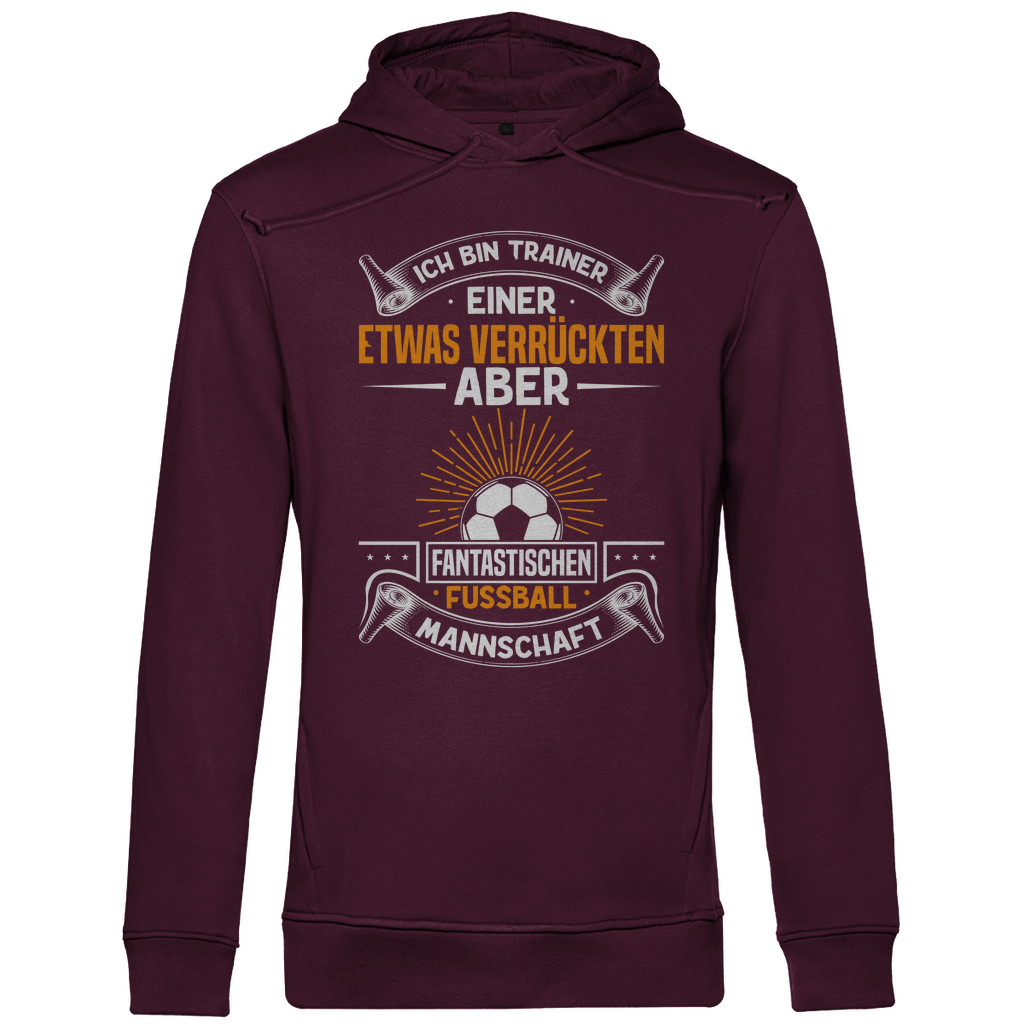 Herren Premium Bio Hoodie Trainer 2