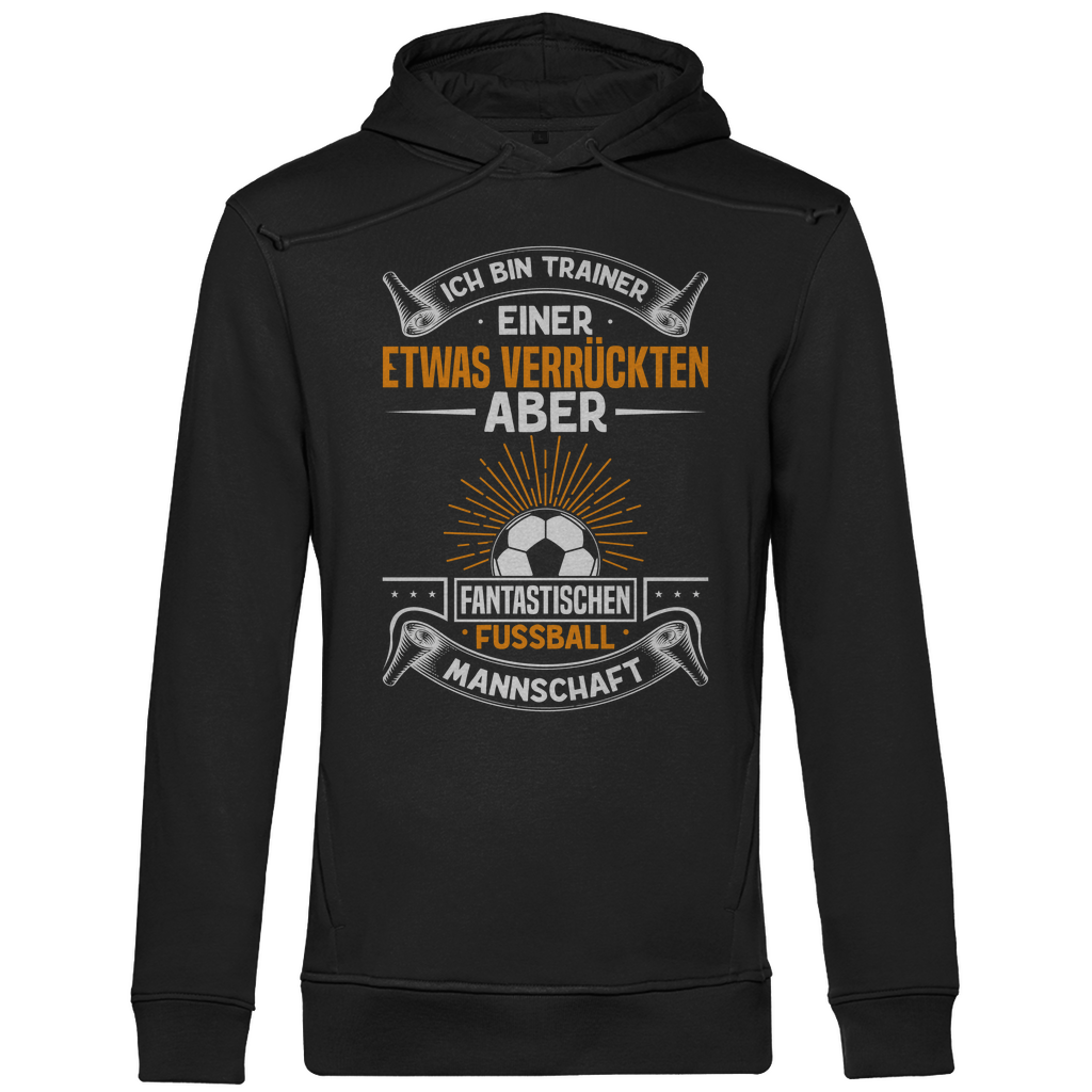 Herren Premium Bio Hoodie Trainer 2