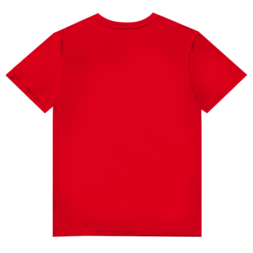Herren Premium Bio V-Neck T-Shirt  Ich brauche keinen Therapeuten